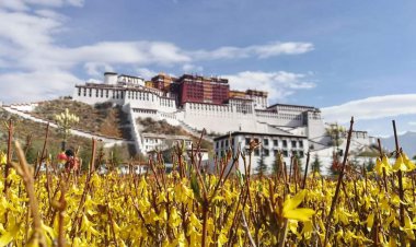 พระราชวังโปตาลา สถานที่ศักดิ์สิทธิ์แห่งทิเบต